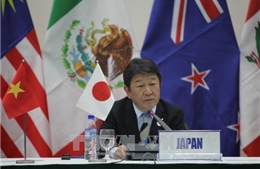 Nhật Bản hối thúc ký kết CPTPP